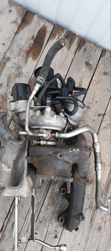 Турбина, 15000 рублей, Воронеж