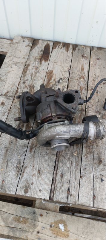 Турбина, 15000 рублей, Воронеж