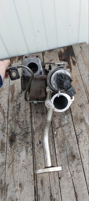 Турбина, 12000 рублей, Воронеж