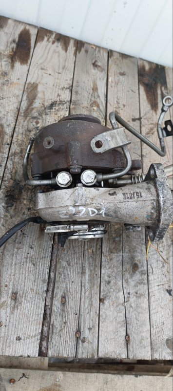 Турбина, 12000 рублей, Воронеж