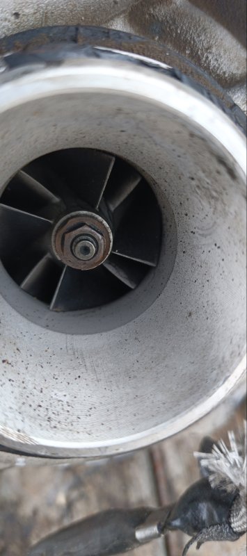 Турбина, 12000 рублей, Воронеж