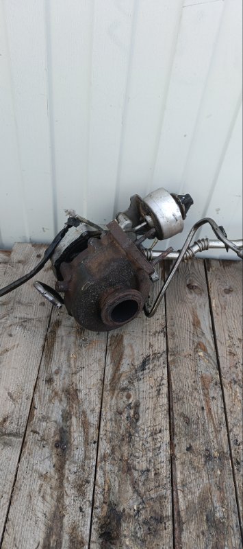 Турбина, 12000 рублей, Воронеж