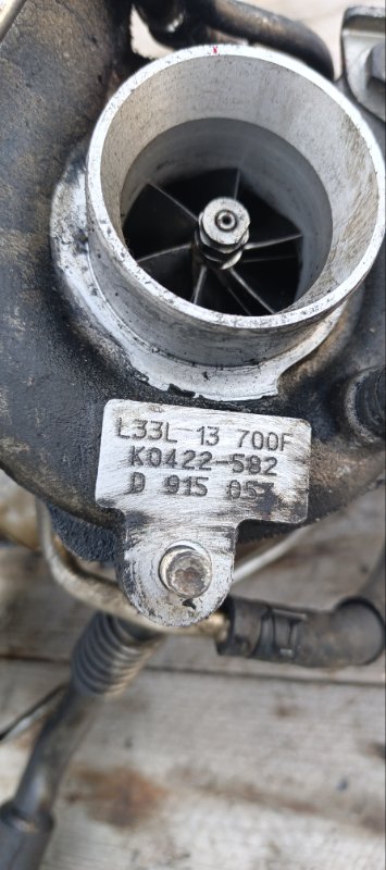 Турбина, 12000 рублей, Воронеж