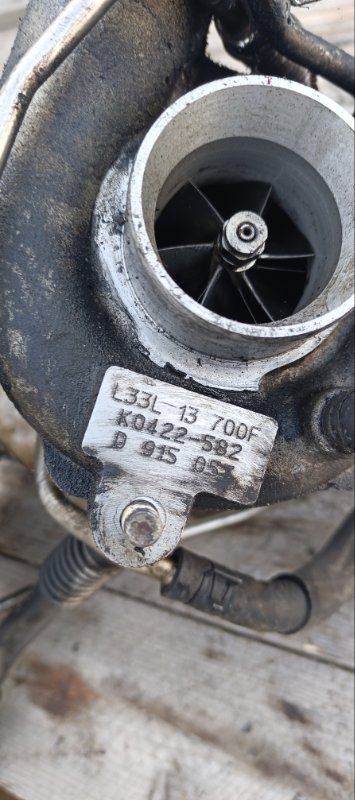 Турбина, 12000 рублей, Воронеж