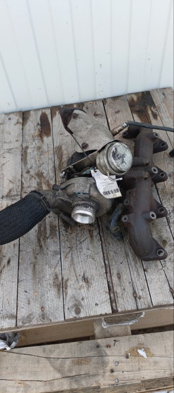 Турбина, 19000 рублей, Воронеж