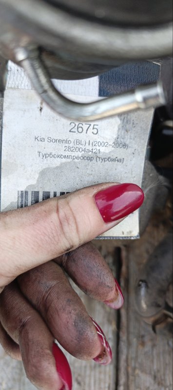 Турбина, 19000 рублей, Воронеж