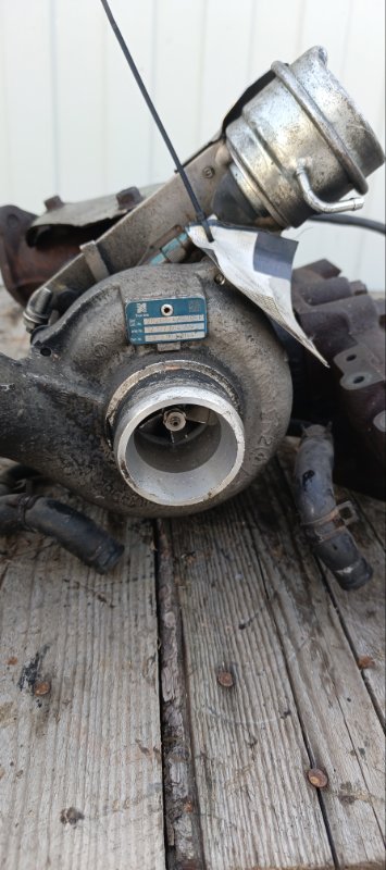 Турбина, 19000 рублей, Воронеж