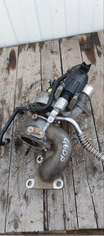 Турбина, 39000 рублей, Воронеж