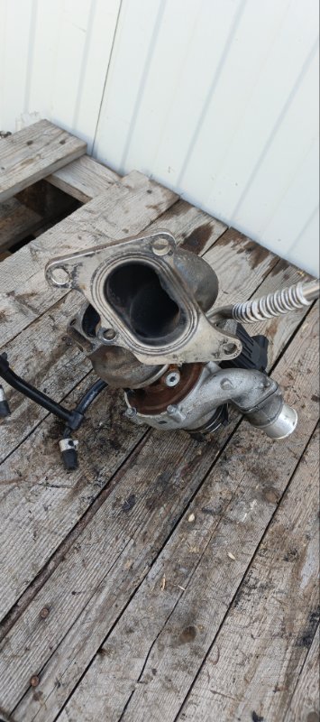 Турбина, 39000 рублей, Воронеж