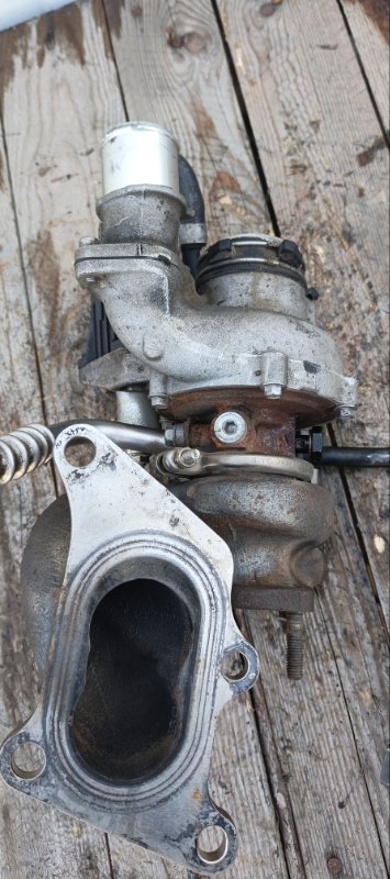 Турбина, 39000 рублей, Воронеж