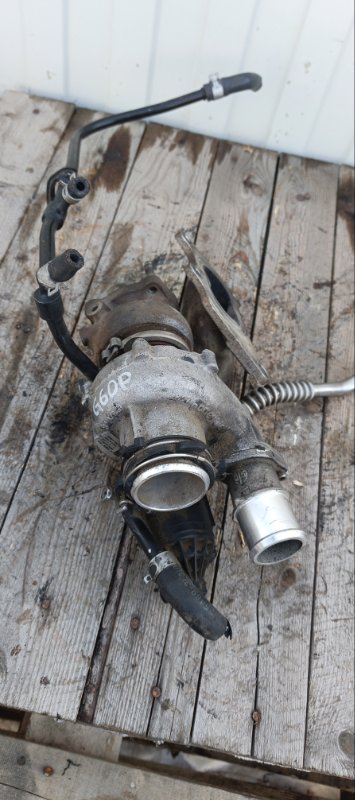 Турбина, 39000 рублей, Воронеж