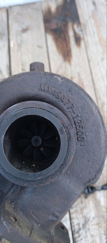 Турбина, 19000 рублей, Воронеж