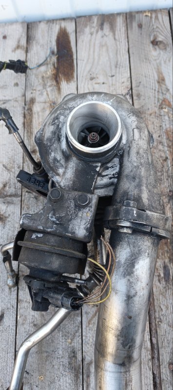 Турбина, 19000 рублей, Воронеж