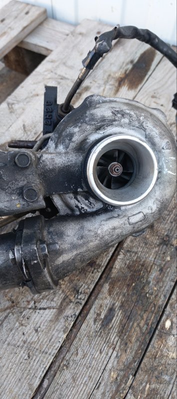 Турбина, 19000 рублей, Воронеж