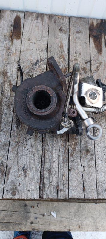 Турбина, 19000 рублей, Воронеж