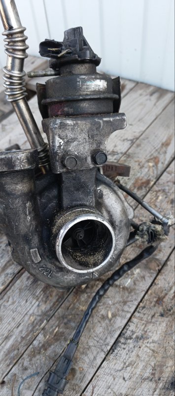 Турбина, 19000 рублей, Воронеж