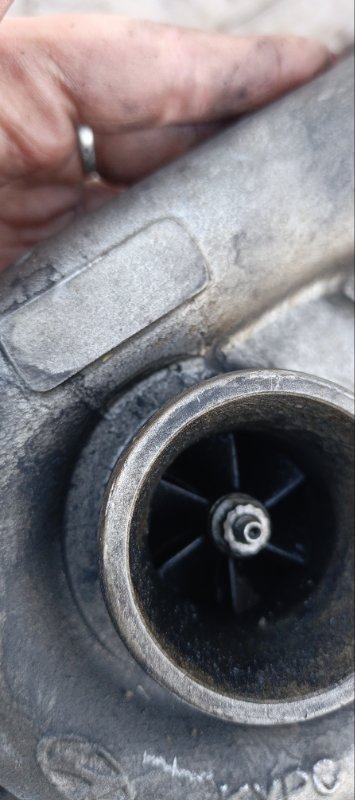 Турбина, 16500 рублей, Воронеж