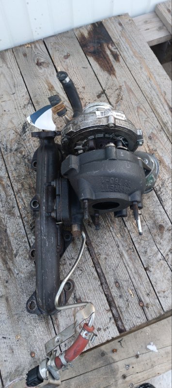 Турбина, 8000 рублей, Воронеж