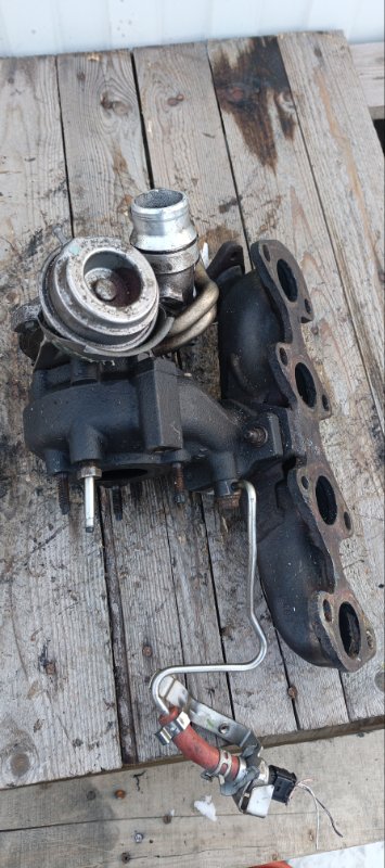 Турбина, 8000 рублей, Воронеж