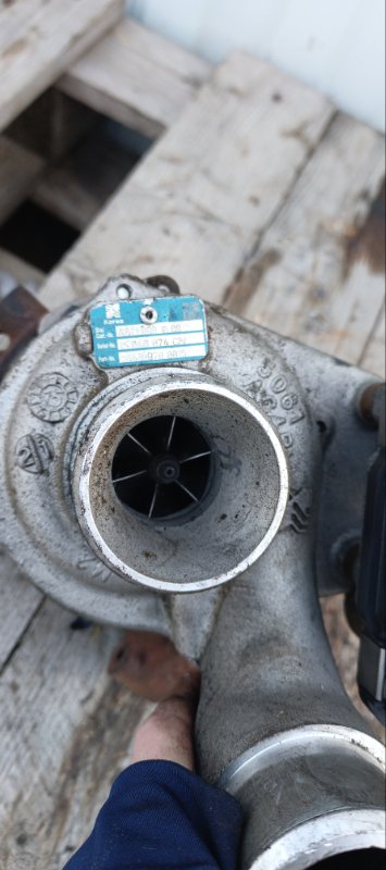 Турбина, 21000 рублей, Воронеж