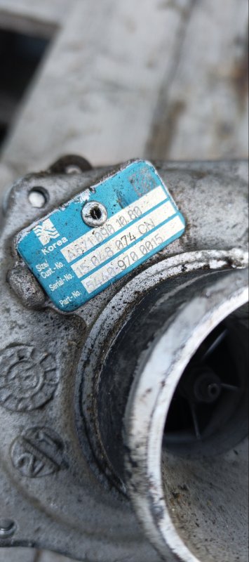 Турбина, 21000 рублей, Воронеж