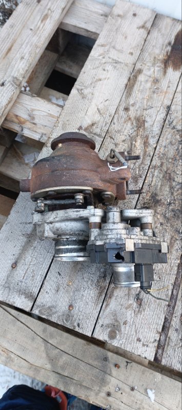 Турбина, 21000 рублей, Воронеж