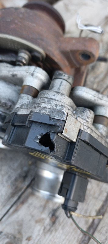 Турбина, 21000 рублей, Воронеж