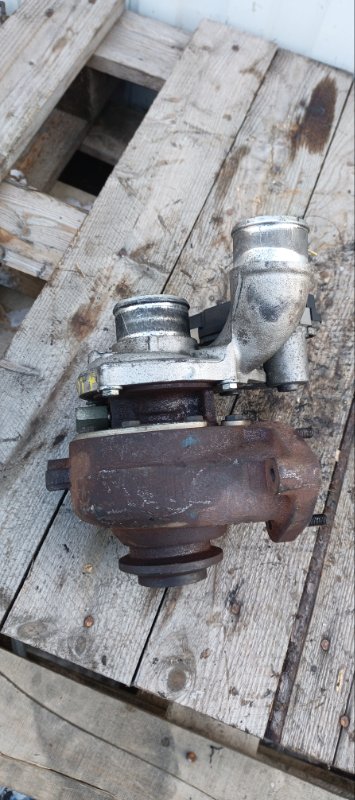 Турбина, 21000 рублей, Воронеж