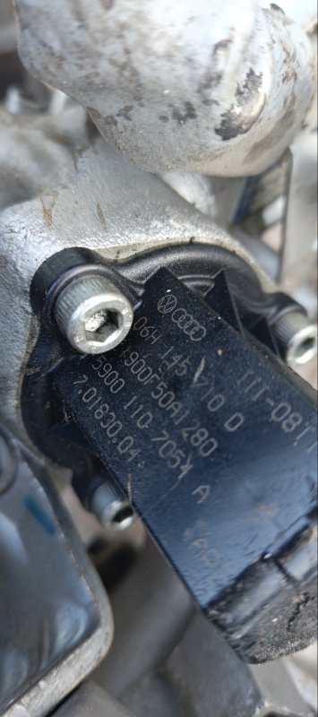 Турбина, 21000 рублей, Воронеж