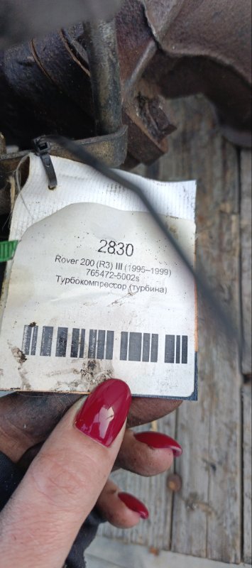 Турбина, 10000 рублей, Воронеж