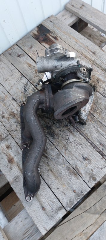 Турбина, 10000 рублей, Воронеж