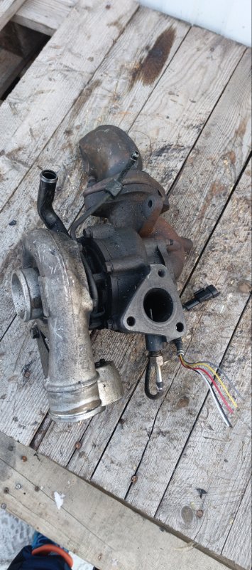 Турбина, 17500 рублей, Воронеж