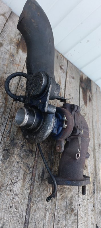 Турбина, 11000 рублей, Воронеж