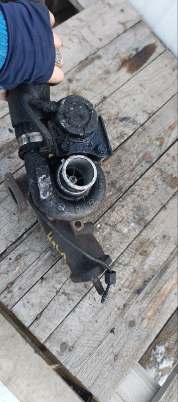 Турбина, 11000 рублей, Воронеж