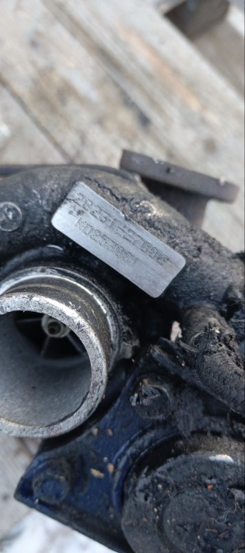 Турбина, 11000 рублей, Воронеж