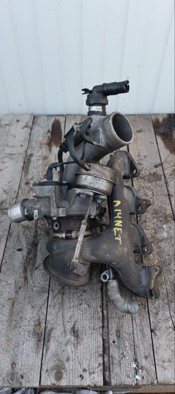 Турбина, 17000 рублей, Воронеж