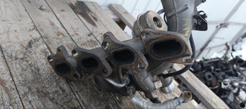 Турбина, 17000 рублей, Воронеж