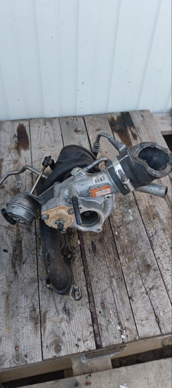 Турбина, 17000 рублей, Воронеж