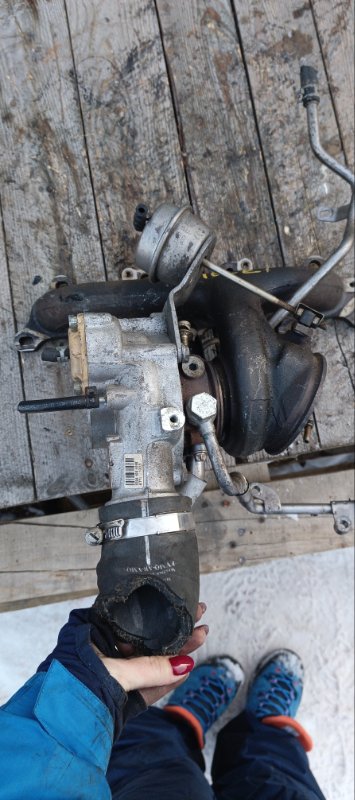 Турбина, 17000 рублей, Воронеж