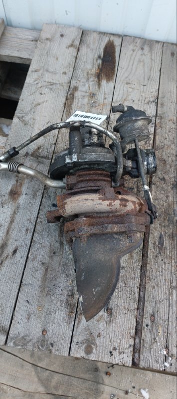 Турбина, 12000 рублей, Воронеж