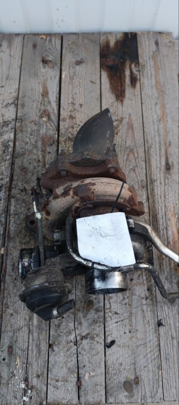 Турбина, 12000 рублей, Воронеж