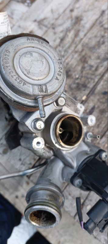 Турбина, 15500 рублей, Воронеж