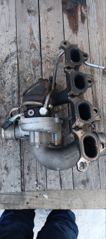 Турбина, 21000 рублей, Воронеж