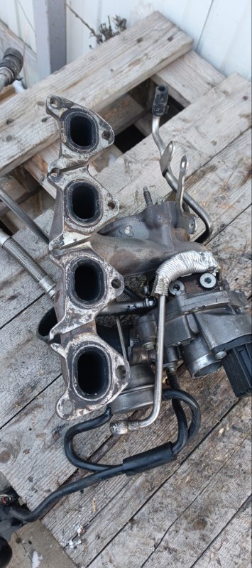 Турбина, 16000 рублей, Воронеж