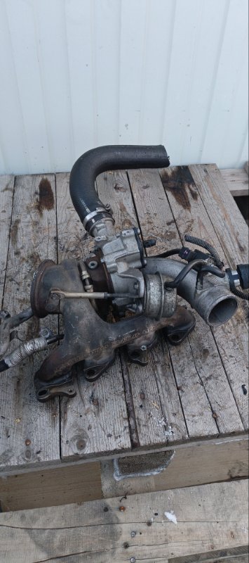 Турбина, 17000 рублей, Воронеж