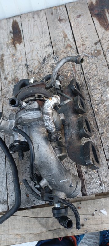 Турбина, 17000 рублей, Воронеж