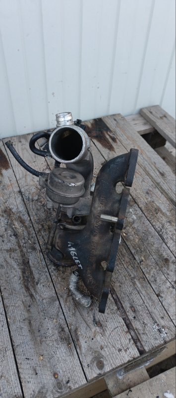 Турбина, 17000 рублей, Воронеж