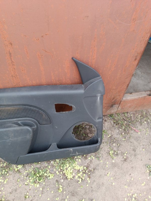 Обшивка боковой двери, Воронеж