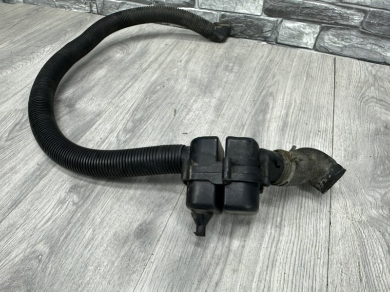 Патрубок, Москва