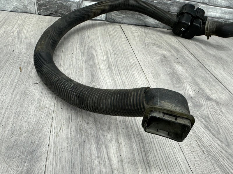 Патрубок, Москва